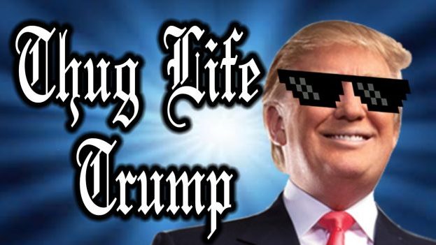The Candidate From The Internet